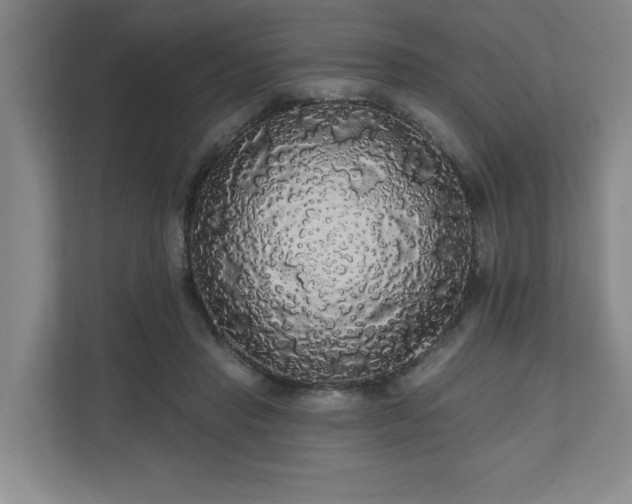 X0000110700453200906191531