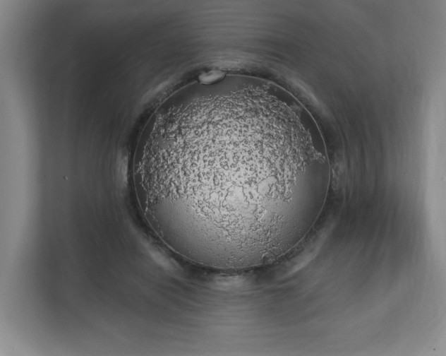 X0000110700454200906191531