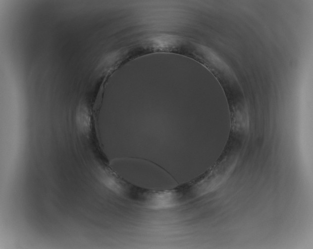 X0000110700456200906191531