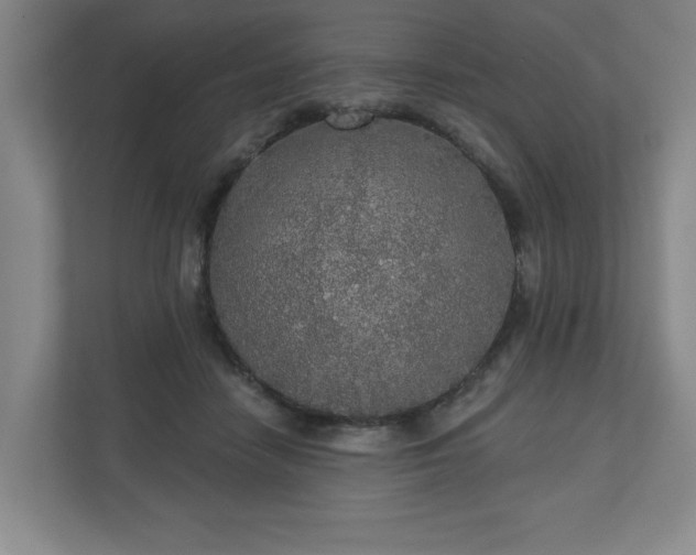 X0000110700458200906191531