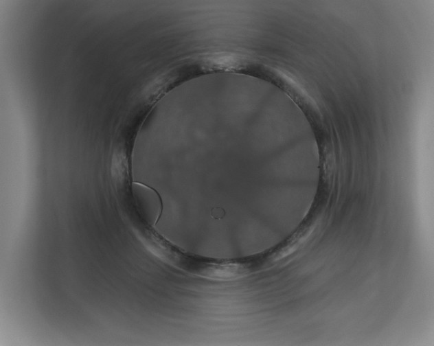 X0000110700459200906191531