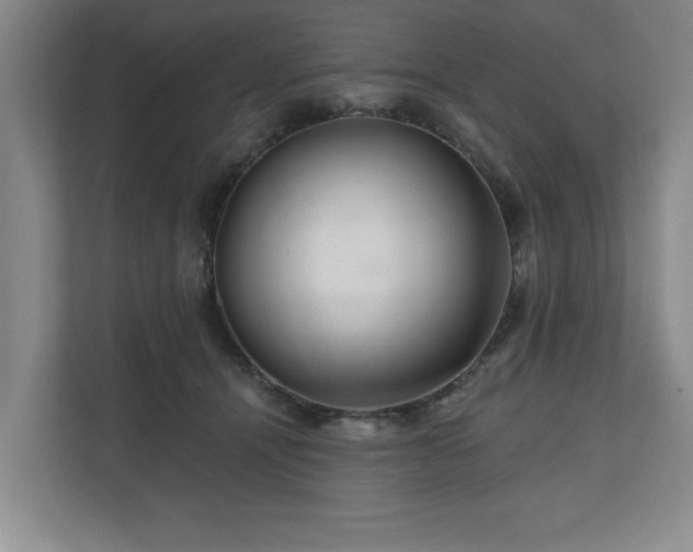 X0000110700464200906191531