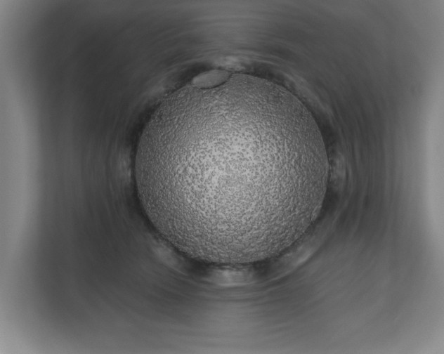 X0000110700466200906191531