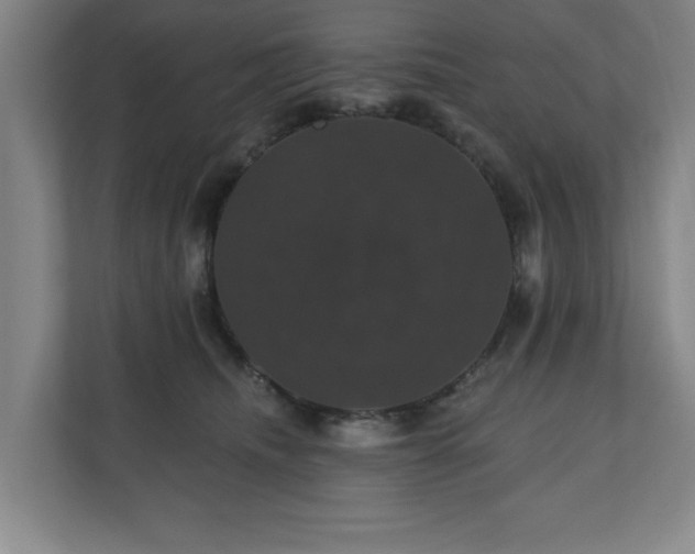 X0000110700468200906191531