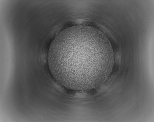 X0000110700470200906191531