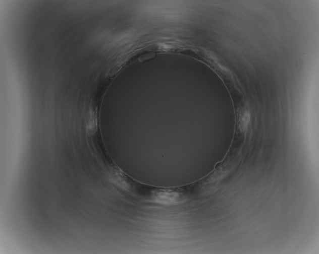 X0000110700471200906191531