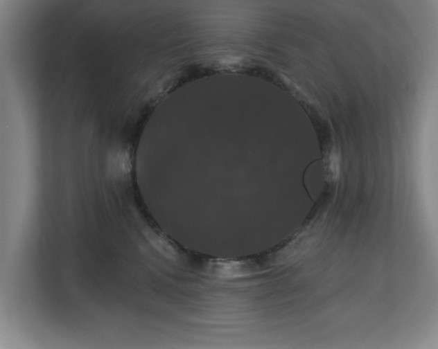 X0000110700472200906191531