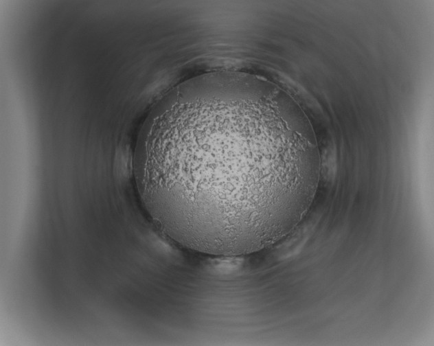 X0000110700474200906191531