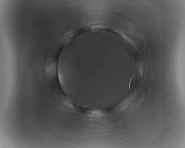 X0000110700475200906191531