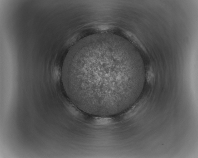 X0000110700476200906191531