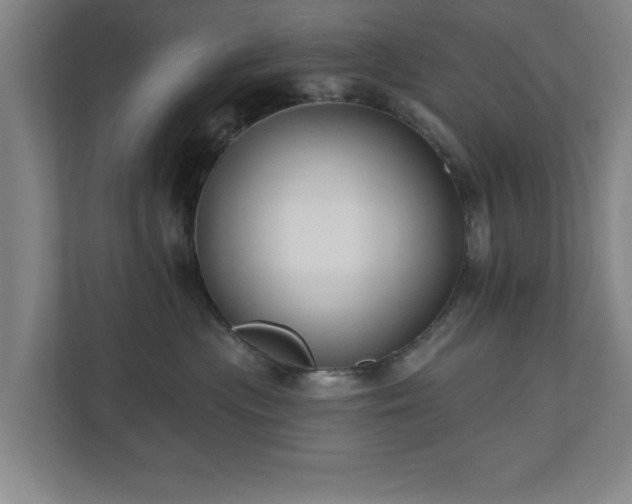 X0000110700477200906191531
