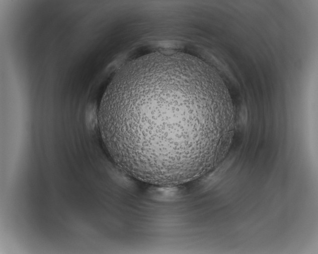 X0000110700478200906191531