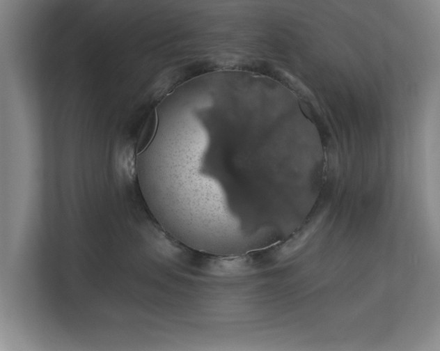 X0000110700479200906191531