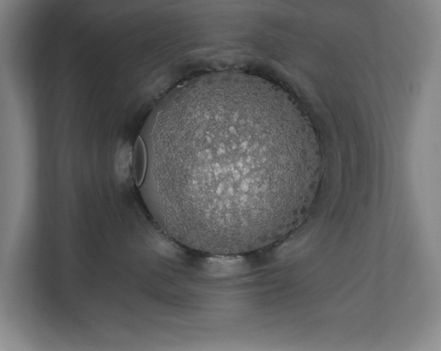 X0000110700480200906191531