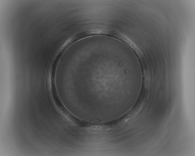 X0000110700482200906191530