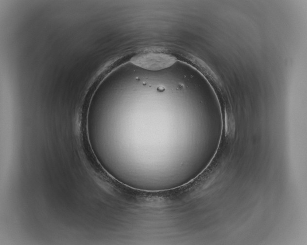 X0000110700483200906191530
