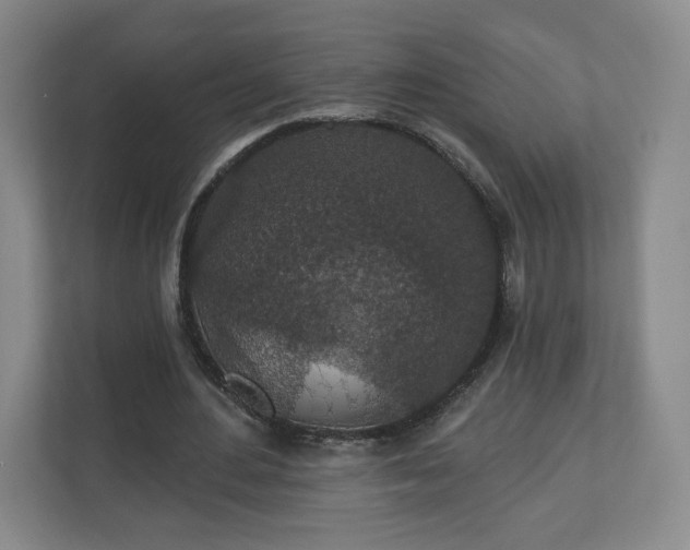 X0000110700484200906191530