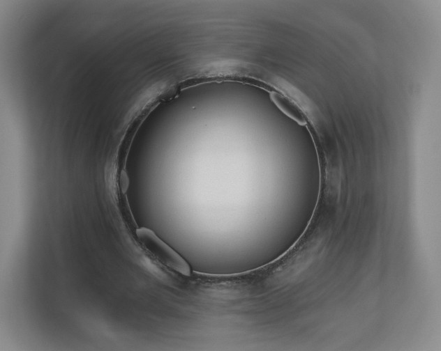 X0000110700485200906191530