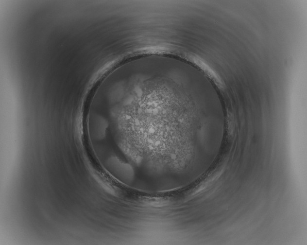 X0000110700486200906191530