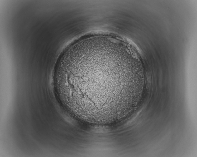 X0000110700487200906191530