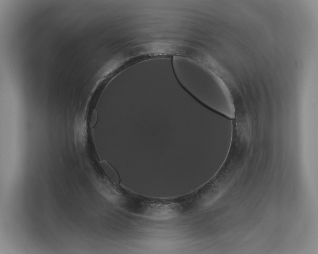 X0000110700488200906191530
