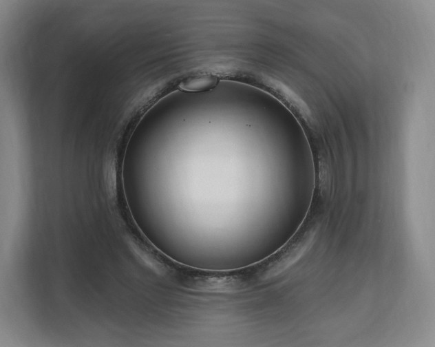 X0000110700493200906191530