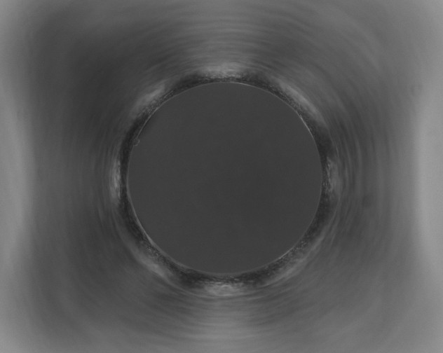 X0000110700494200906191530
