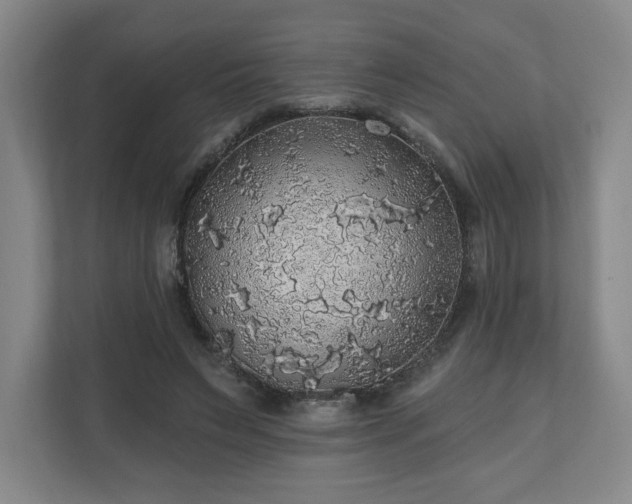 X0000110700495200906191530