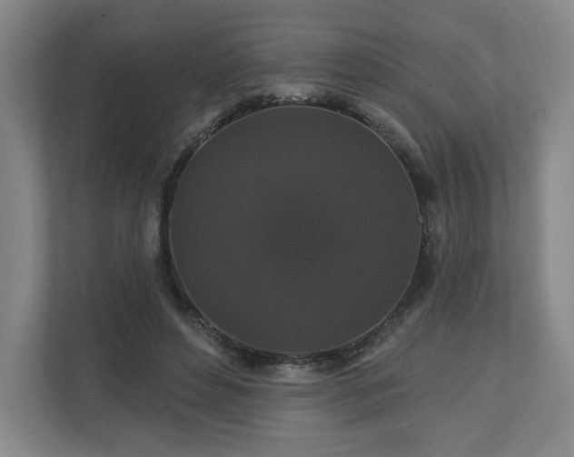 X0000110700496200906191530
