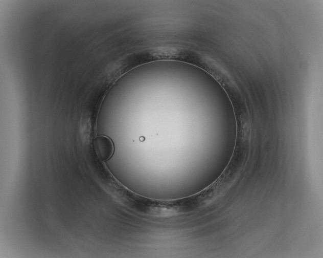 X0000110700498200906191530