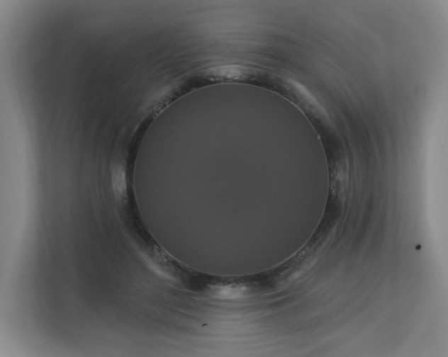 X0000110700500200906191530