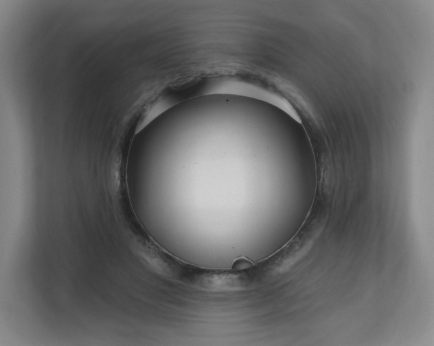 X0000110700501200906191530