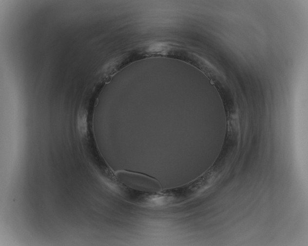 X0000110700504200906191530