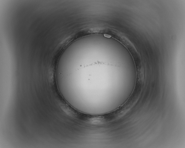 X0000110700505200906191530