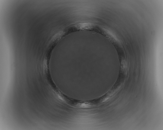 X0000110700506200906191530