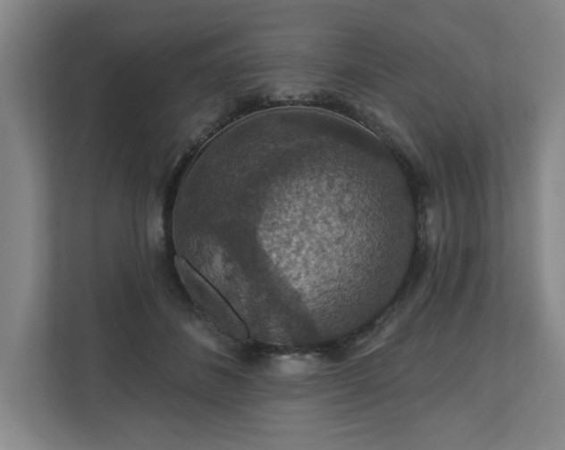 X0000110700508200906191530
