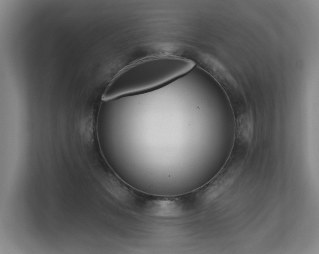 X0000110700509200906191530
