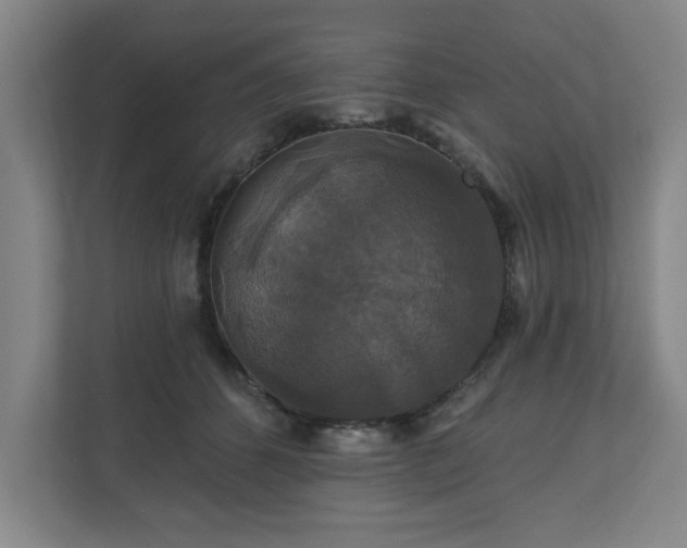 X0000110700512200906191530