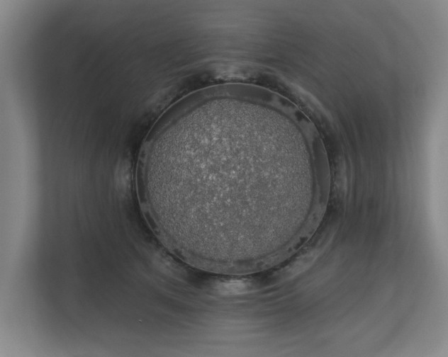 X0000110700513200906191530