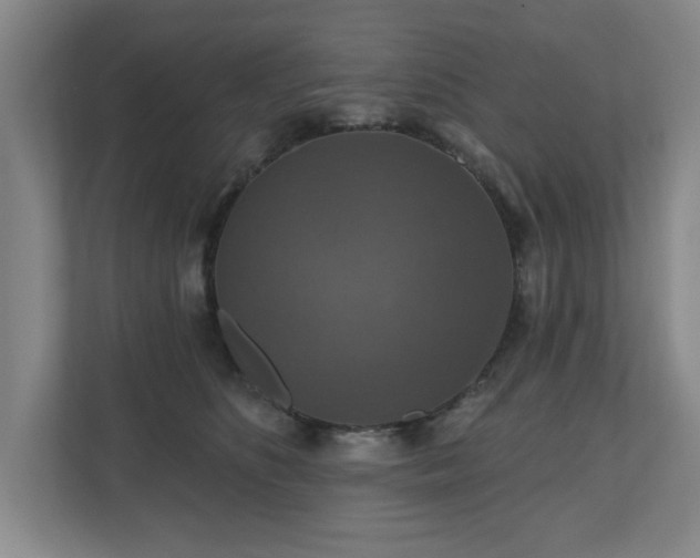 X0000110700516200906191530