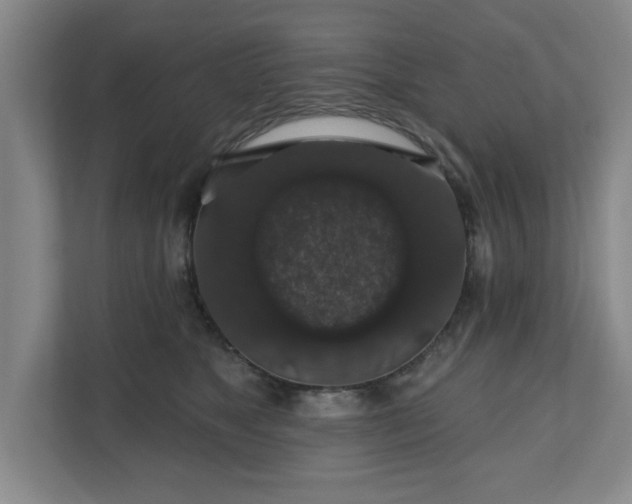 X0000110700517200906191530