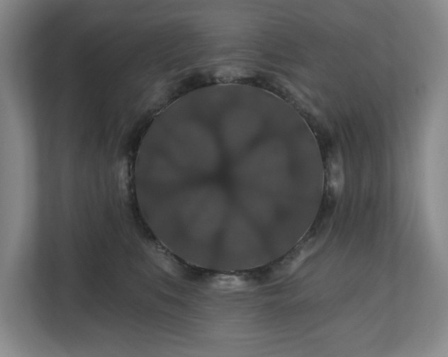 X0000110700519200906191530