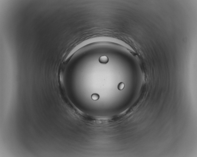 X0000110700524200906191530