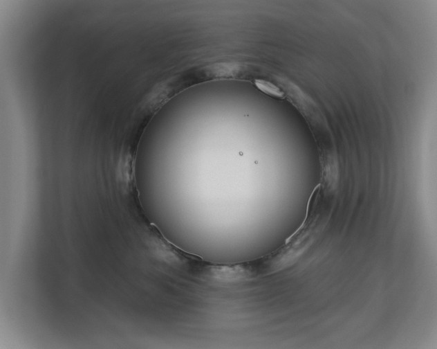 X0000110700525200906191530