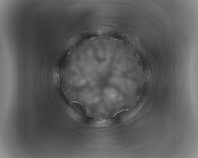 X0000110700527200906191530