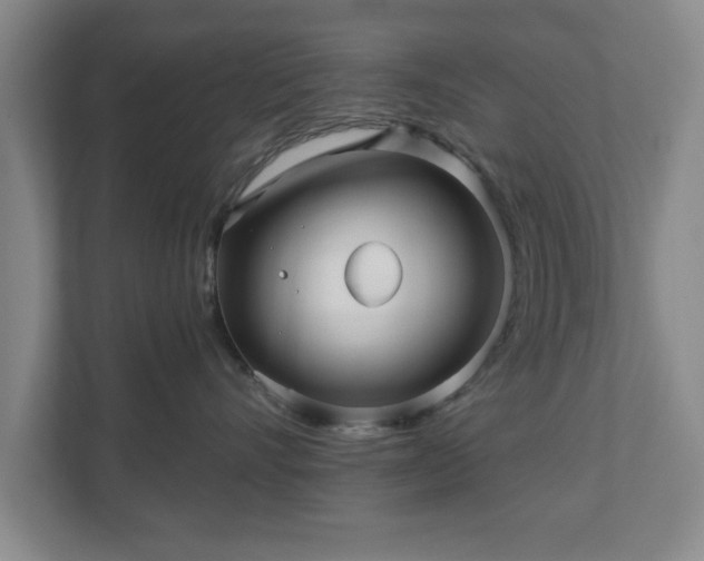 X0000110700528200906191530