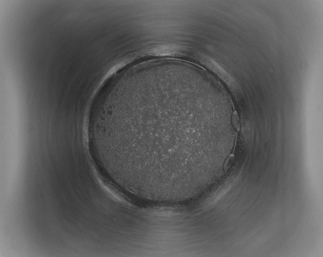 X0000110700530200906191529