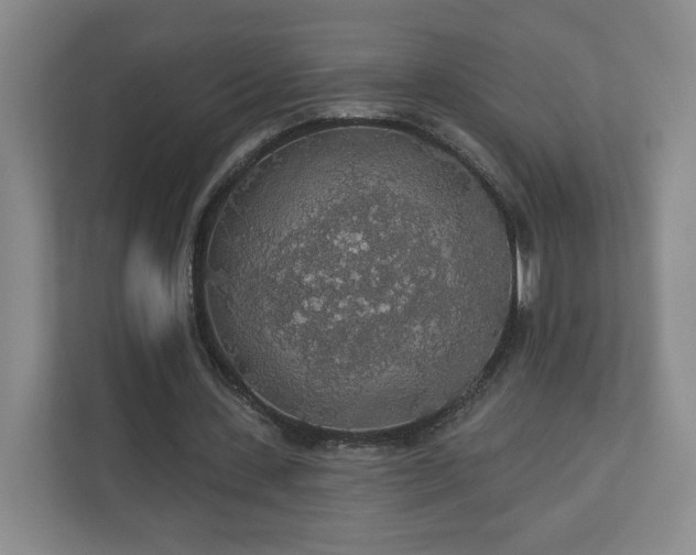 X0000110700531200906191529