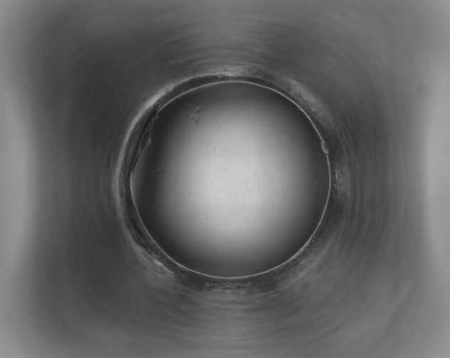 X0000110700532200906191529