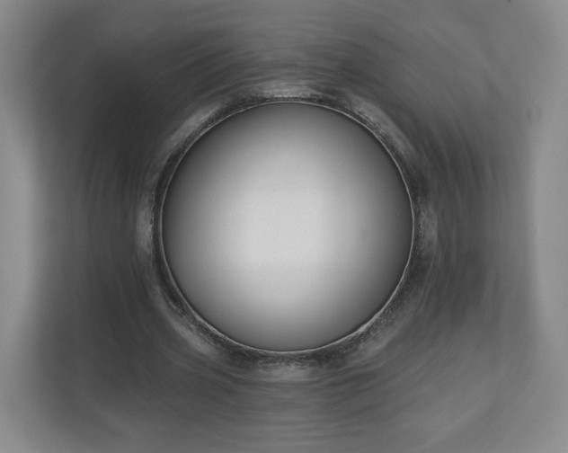 X0000110700533200906191529